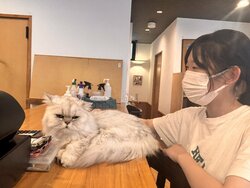 line_oa_chat_250905_122027.jpg