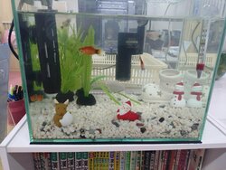 【福岡】一段と寒くなりました！