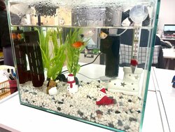 【福岡】アクア専攻現場実習！