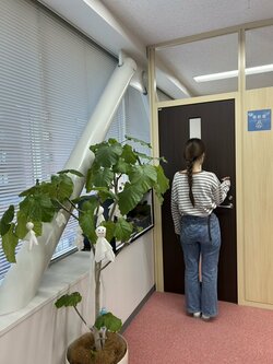 line_oa_chat_260930_162044.jpg