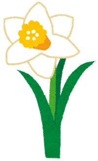 flower_suisen.png