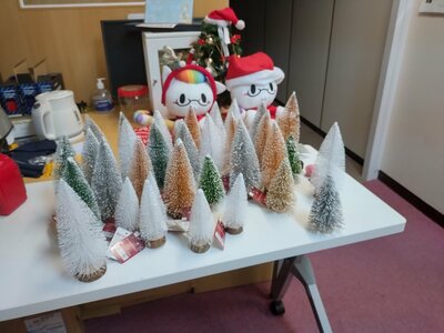 【浜松】12月2日（土）にクリスマスツリーづくり開催！　数に限りがあるので連絡をお願いします。