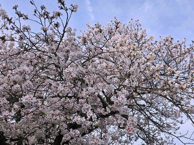 【浜松】今週から登校がはじまります！