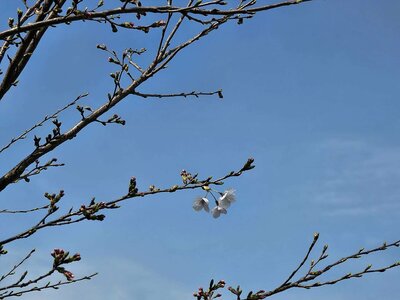 【浜松】新学期が始まりました