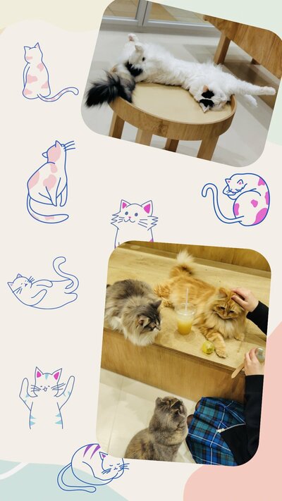 Untitled design.jpeg