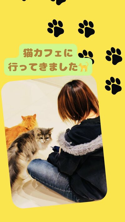 猫カフェに行ってきました?.jpeg