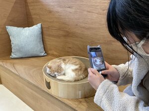 【広島】ねこカフェ🐱①～専門授業の様子～