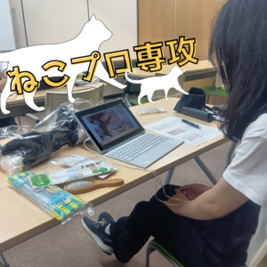 【広島】ねこプロ専攻🐱♡
