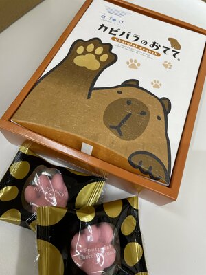 【広島】全国銘菓コレクション🍩