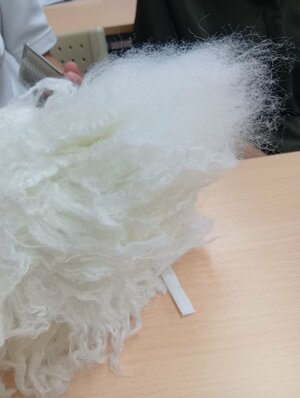 260620155423532.JPG