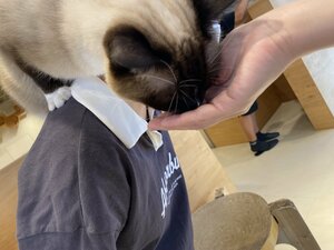 IMG_0276.JPG