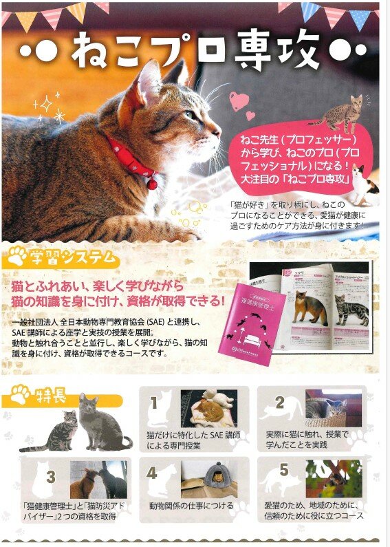 専門チャレンジコース紹介その5～ねこプロ～