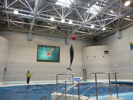 【鹿児島】鹿児島水族館へ遠足