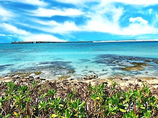 【鹿児島】沖縄スクーリングにいってきましたシリーズ～１～