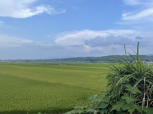 【鹿児島】後期スタート🍀