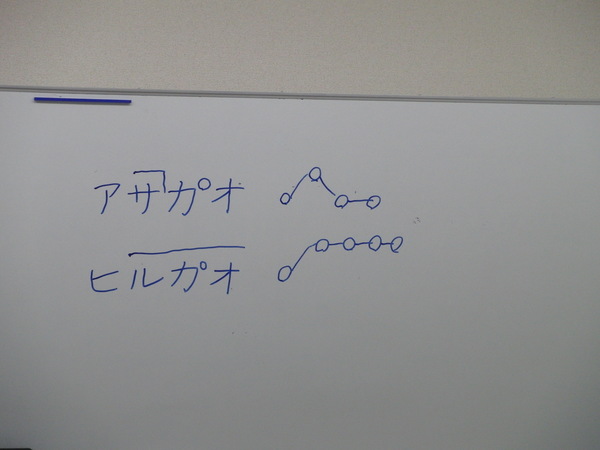 アサガオ.JPG