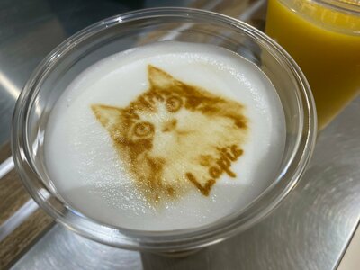 line_oa_chat_250620_155832.jpg