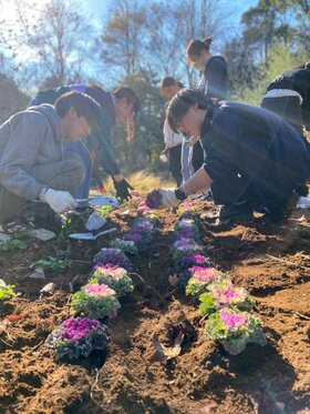 【柏】ボランティア活動 vol2✨