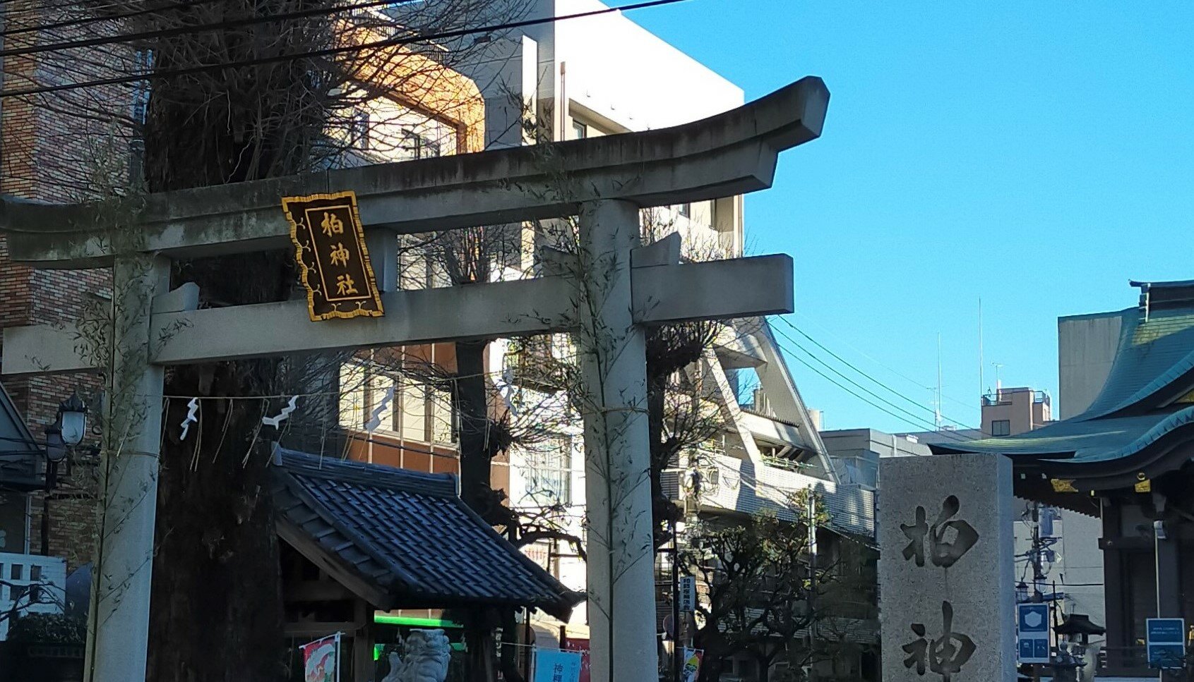 【柏】柏神社に初詣に行ってきました