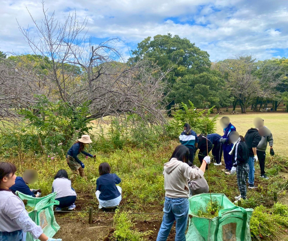 名称未設定のデザイン (31).png