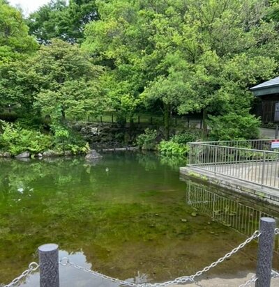 【川崎】外出で川崎市麻生区へ～♪