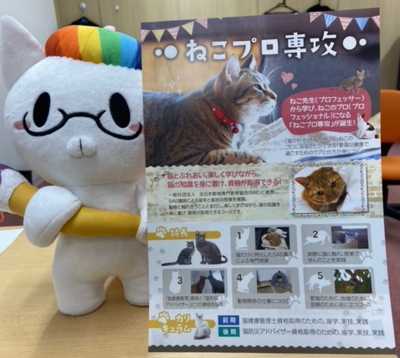 【川崎】2月22日(=^・^=)猫プロ専攻説明会開催します～♪