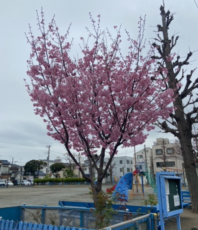 【川崎】４月転入まだ間に合います！学校説明会にご参加下さい。