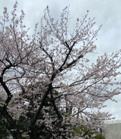 【川崎】川崎学習センター開講ラインナップ！