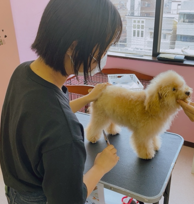 【川崎】ペット実習の様子～♪