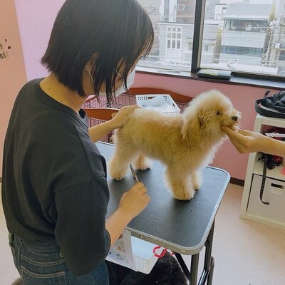 【川崎】専攻紹介🐶ペット専攻🐶