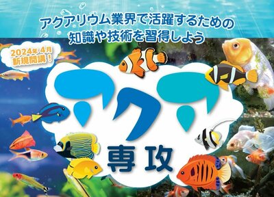 【川崎】4月からの新専攻紹介 🐠アクア専攻🐠