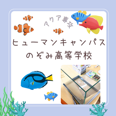 【川崎】アクア専攻に新しい仲間が来たよ！🐟 新水槽設置レポート！