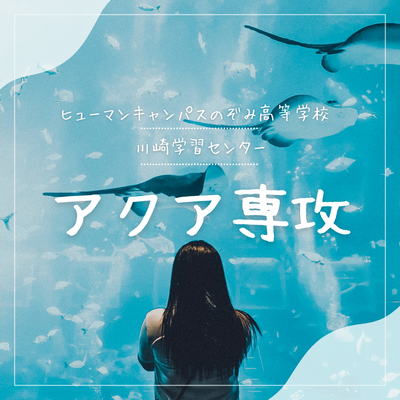 【川崎】🐠アクア専攻🐠 2回目の水槽交換、無事に完了しました！