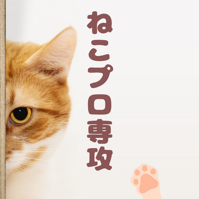 【川崎】猫を制作～ねこプロ専攻