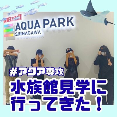 【川崎】アクア専攻🐠水族館に行ってきました🐬✨
