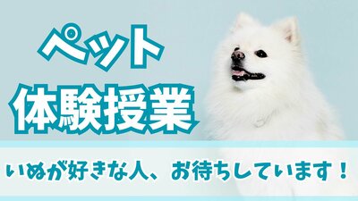 【川崎】どうぶつ系3専攻 体験授業のおしらせ🐶🐱🐠