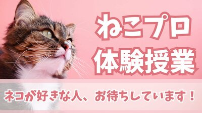 ねこプロ_体験授業.jpg