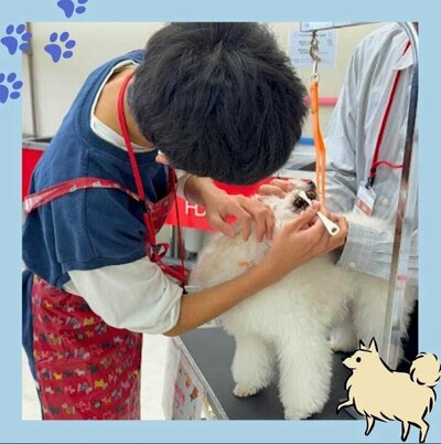 【川崎】ペット専攻、実習の様子🐕🐕‍🦺