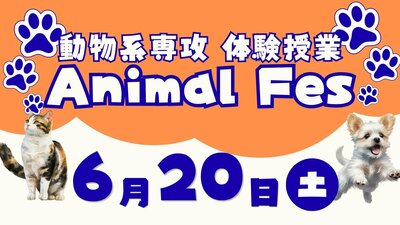 動物系専攻のコピー.jpg