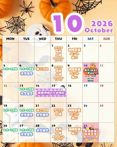 10月.JPG