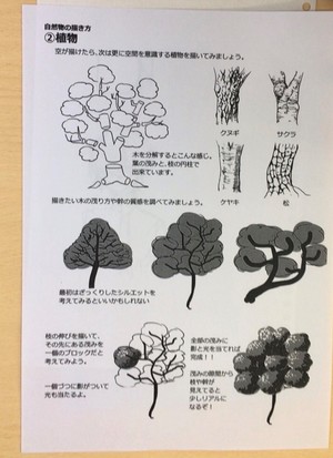 植物の書き方②.jpg