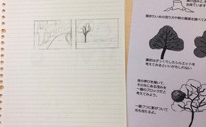 植物の書き方③.jpg