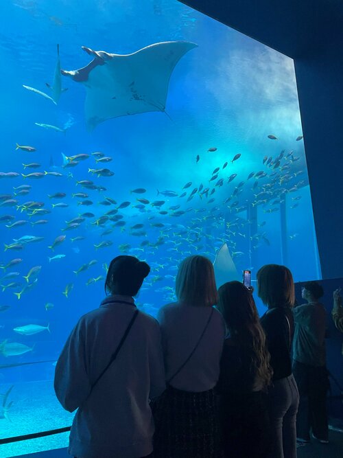 【北九州】本校スクーリング🌺美ら海水族館編🐠