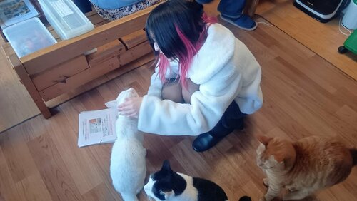 line_oa_chat_260601_112738_group_3.jpg