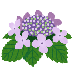 flower_gaku_ajisai.png