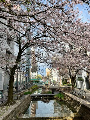 【高知】４月９日（土）合格者登校日です！！