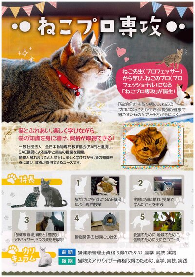 【高知】ねこプロってなに？？