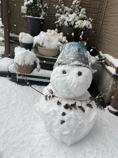 【高知】12月の記録的大雪