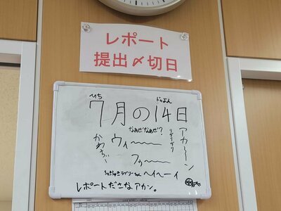 【高知】お財布のない生活💰