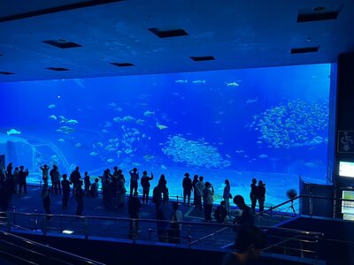 【高知】12.18沖縄名護本校スクーリング～水族館～